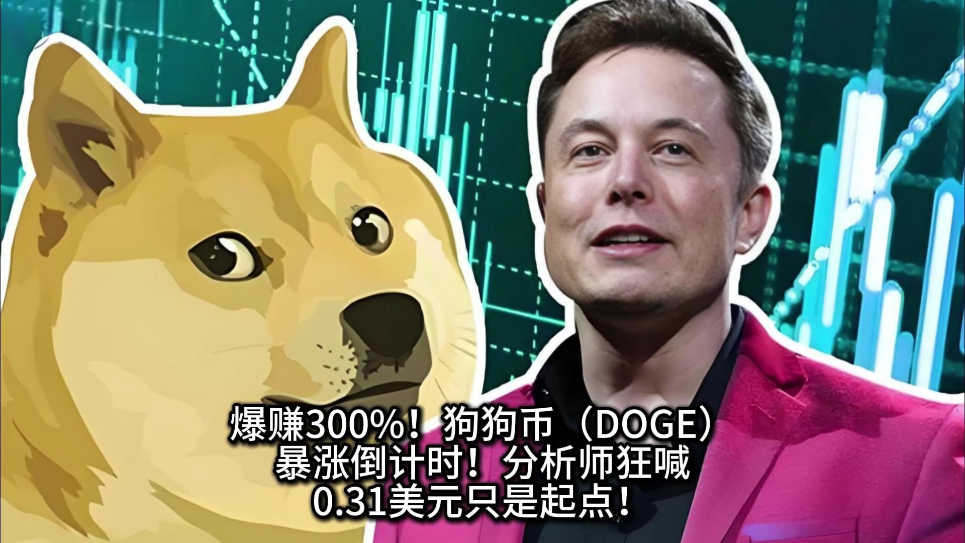 包含狗狗币遭遇大幅下滑超397%，投资者恐慌性抛售的词条-九游体育